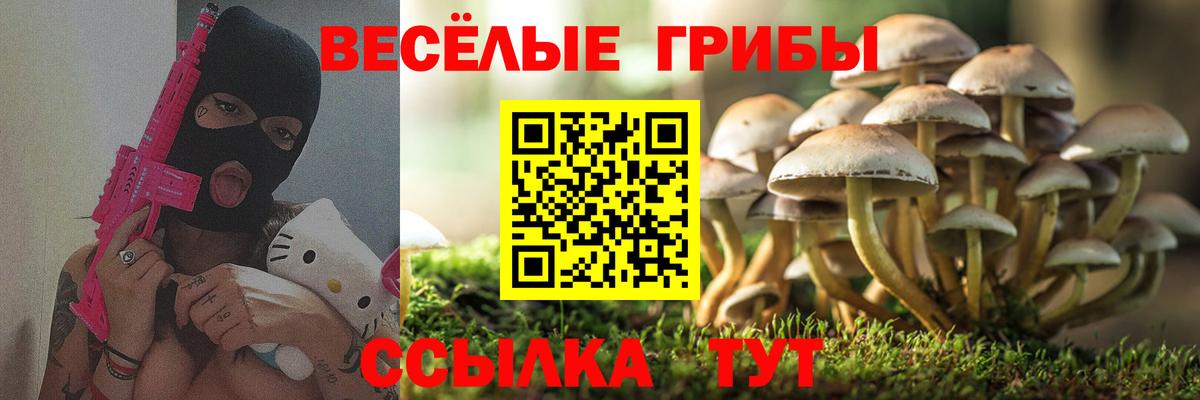Псилоцибиновые грибы MAGIC MUSHROOMS  Псилоцибиновые грибы Cubensis  Вход с VPN  Семилуки 